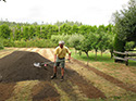 Building the Lawn